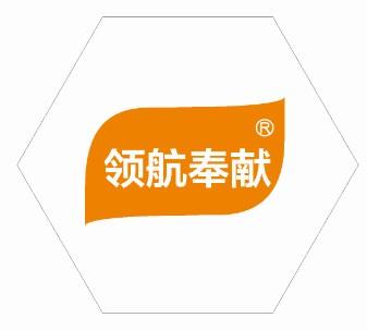 領航奉獻